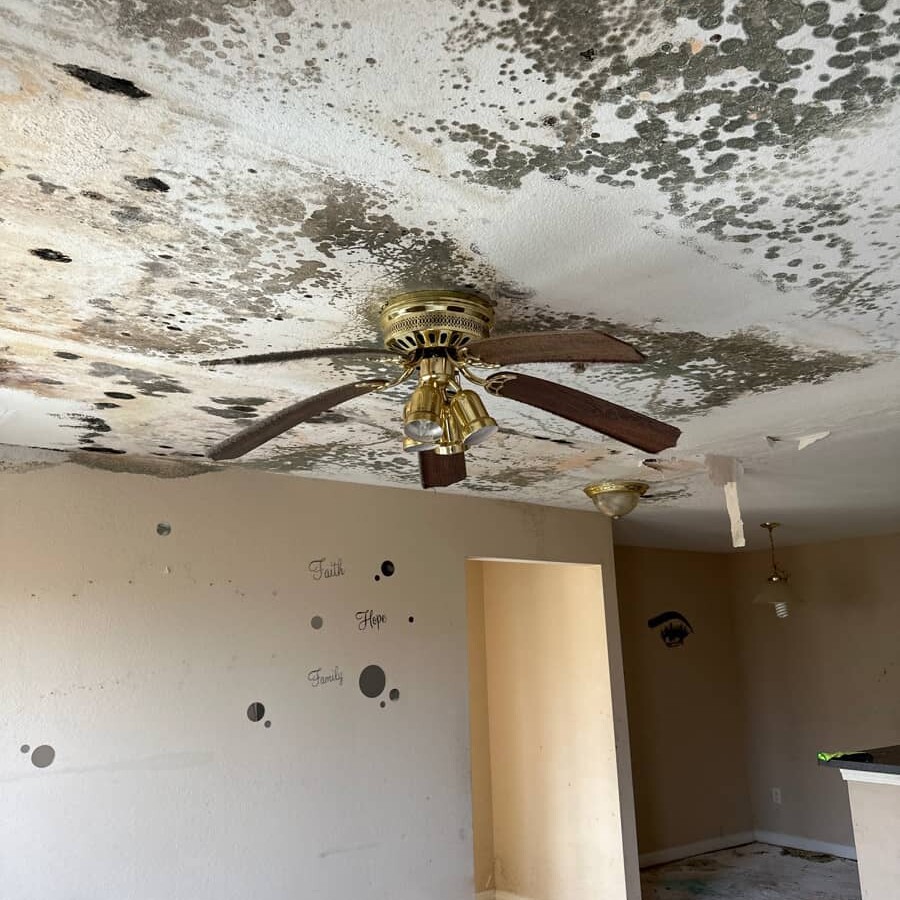 extensive mold damage on the ceiling of a bedroom