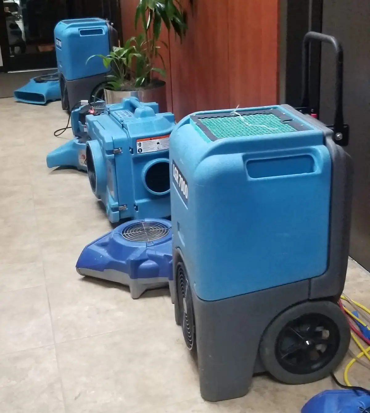 blue industrial air dryers in an office