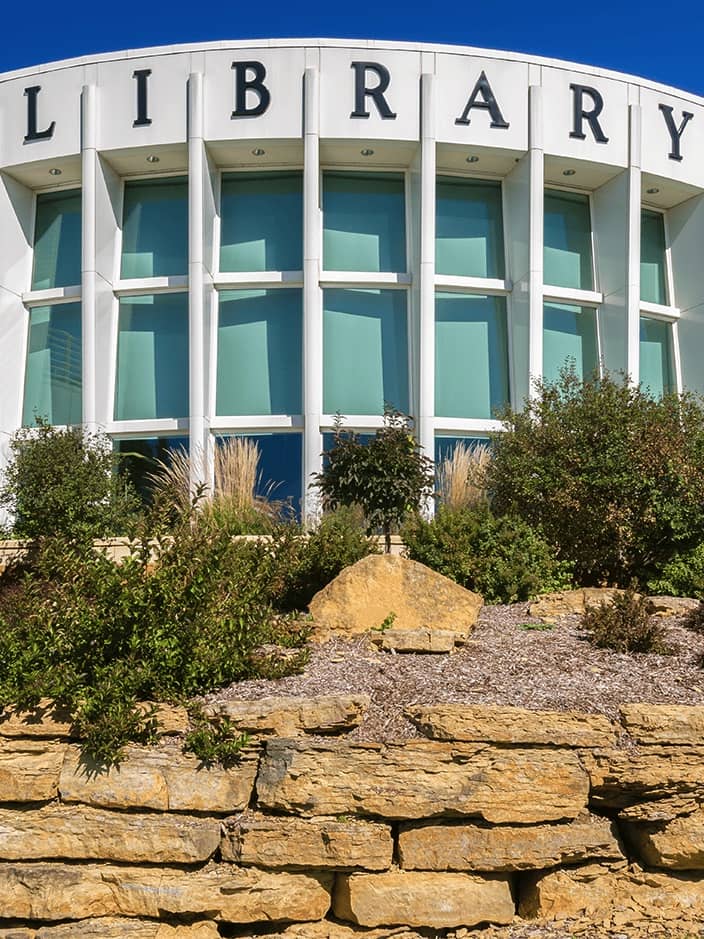window over garden bed with