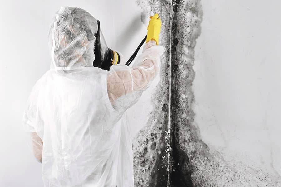 man in hazmat suit cleaning mold off the wall