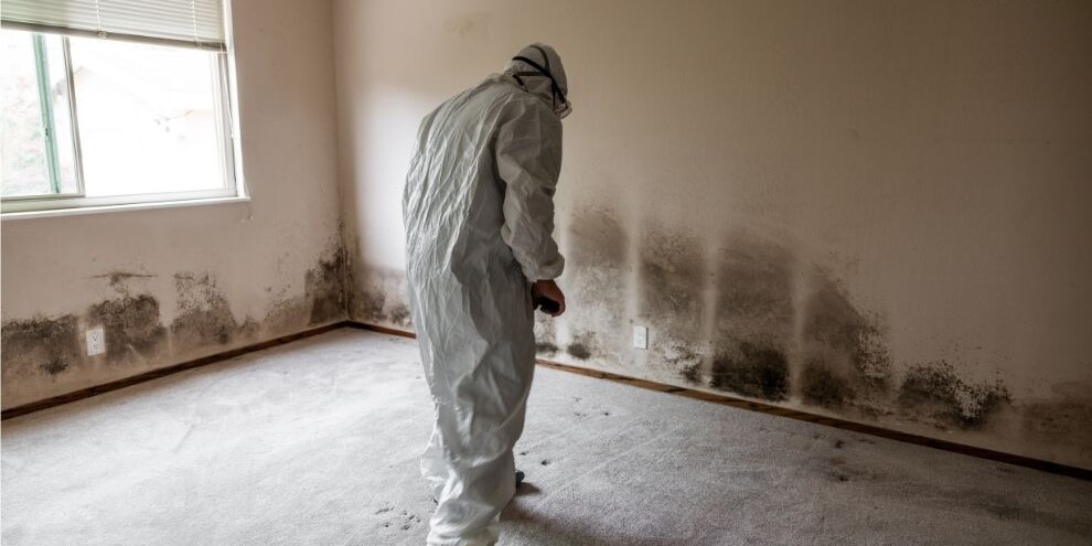 worker in protective gear inspecting mold inside a house