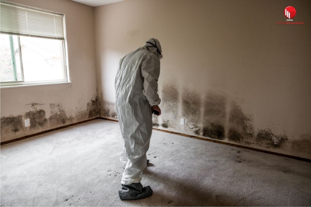 worker in protective gear inspecting mold inside a house